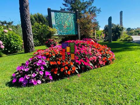 Terreno Para Construção  Venda em Praia de Mira,Mira