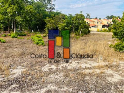 Terreno Para Construção  Venda em Praia de Mira,Mira