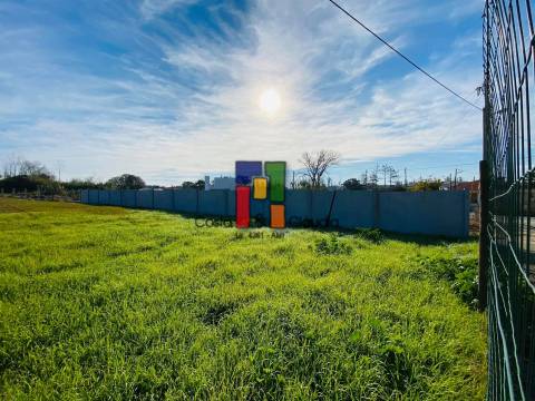 Terreno Para Construção T3 Venda em Mira,Mira