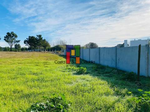Terreno Para Construção T3 Venda em Mira,Mira