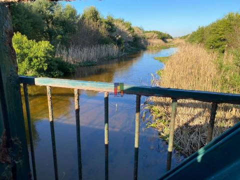 Terreno Urbano T3 Venda em Praia de Mira,Mira
