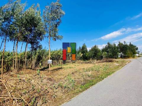 Terreno Urbano  Venda em Mira,Mira