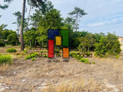 Terreno Urbano  Venda em Praia de Mira,Mira