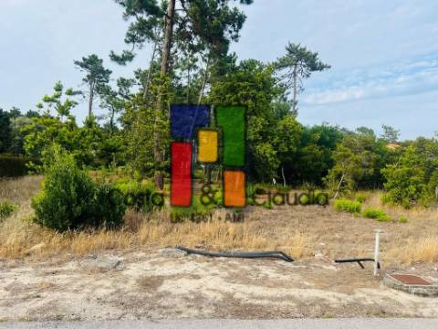 Terreno Urbano  Venda em Praia de Mira,Mira