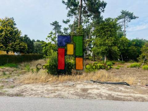 Terreno Urbano  Venda em Praia de Mira,Mira