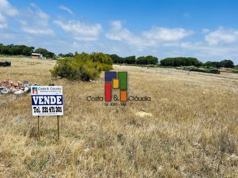 Terreno Urbano  Venda em Praia de Mira,Mira
