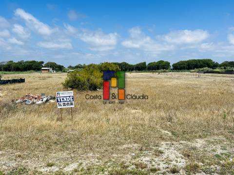 Terreno Urbano  Venda em Praia de Mira,Mira