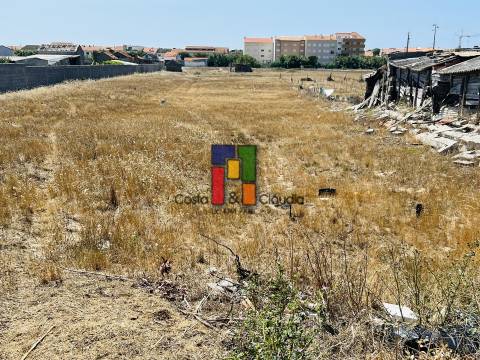 Terreno Urbano  Venda em Praia de Mira,Mira