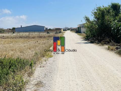 Terreno Urbano  Venda em Praia de Mira,Mira