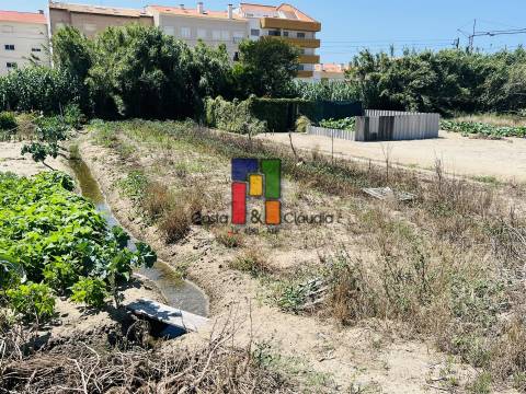 Terreno Urbano  Venda em Praia de Mira,Mira