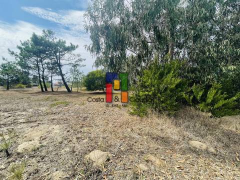 Terreno Urbano  Venda em Praia de Mira,Mira
