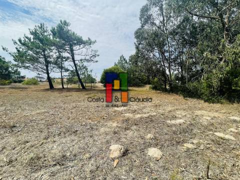 Terreno Urbano  Venda em Praia de Mira,Mira