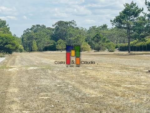 Terreno Urbano  Venda em Praia de Mira,Mira