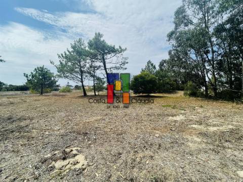 Terreno Urbano  Venda em Praia de Mira,Mira