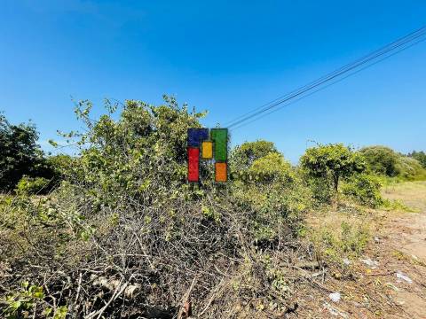 Moradia T2 Venda em Febres,Cantanhede