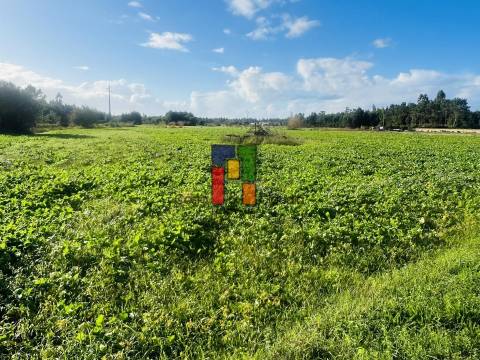 Terreno Urbano  Venda em Mira,Mira
