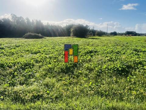 Terreno Urbano  Venda em Mira,Mira