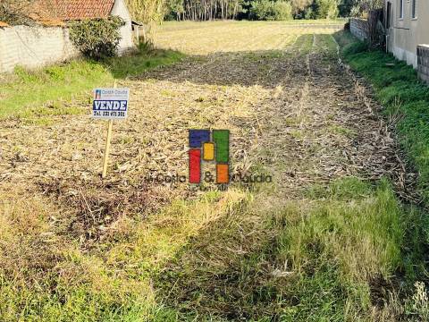 Terreno Urbano  Venda em Praia de Mira,Mira