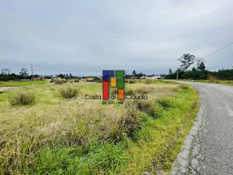 Terreno Urbano  Venda em Mira,Mira
