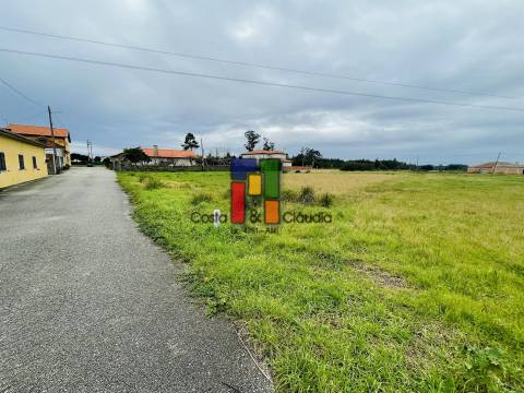 Terreno Urbano  Venda em Mira,Mira