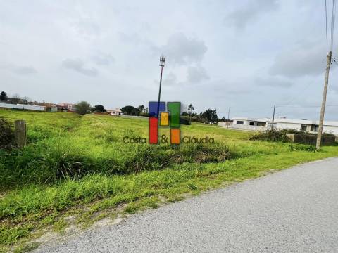 Terreno Urbano  Venda em Mira,Mira