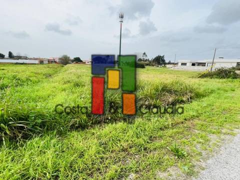 Terreno Urbano  Venda em Mira,Mira