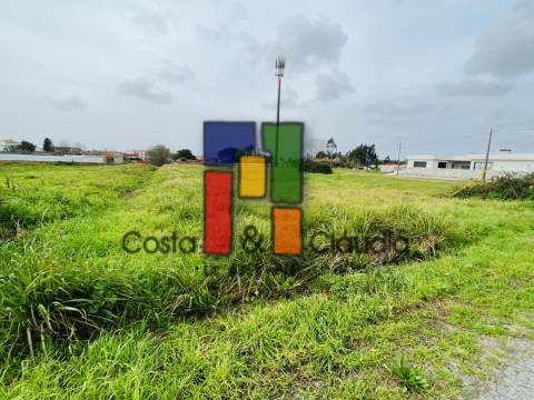 Terreno Urbano  Venda em Mira,Mira