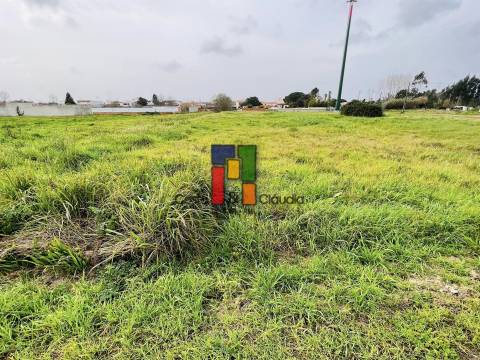 Terreno Urbano  Venda em Mira,Mira
