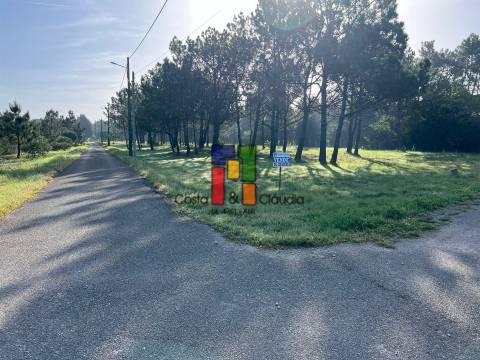Terreno Rústico  Venda em Praia de Mira,Mira