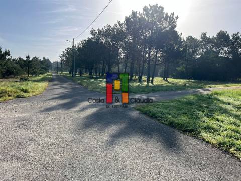 Terreno Rústico  Venda em Praia de Mira,Mira