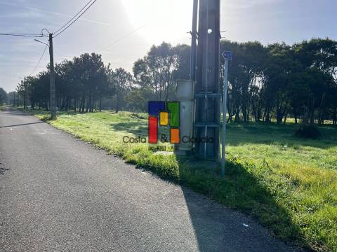 Terreno Rústico  Venda em Praia de Mira,Mira