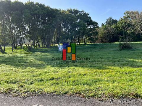 Terreno Rústico  Venda em Praia de Mira,Mira