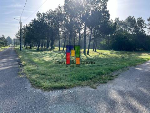 Terreno Rústico  Venda em Praia de Mira,Mira