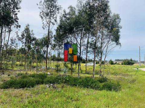 Terreno Misto  Venda em Carapelhos,Mira