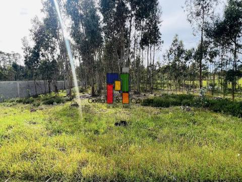 Terreno Misto  Venda em Carapelhos,Mira