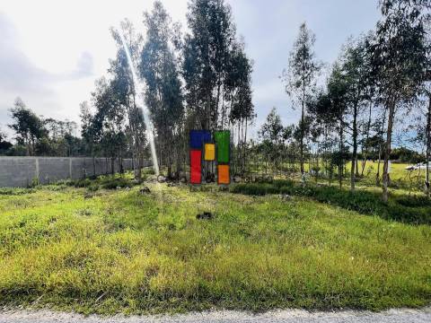 Terreno Misto  Venda em Carapelhos,Mira