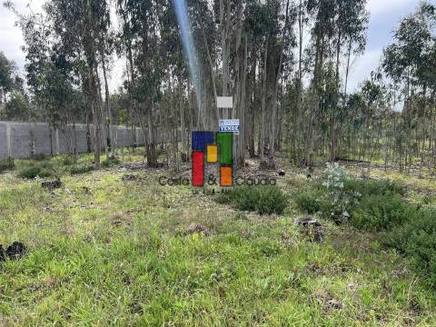 Terreno Misto  Venda em Carapelhos,Mira