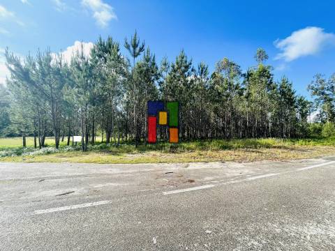 Terreno Rústico  Venda em Cantanhede e Pocariça,Cantanhede