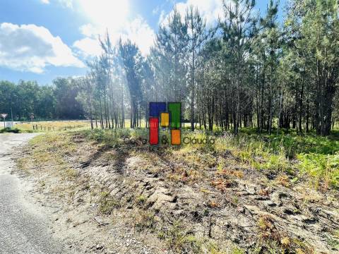 Terreno Rústico  Venda em Cantanhede e Pocariça,Cantanhede