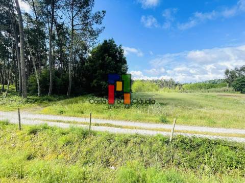 Terreno Rústico  Venda em Cantanhede e Pocariça,Cantanhede