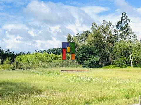Terreno Rústico  Venda em Cantanhede e Pocariça,Cantanhede