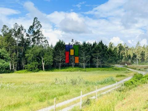 Terreno Rústico  Venda em Cantanhede e Pocariça,Cantanhede