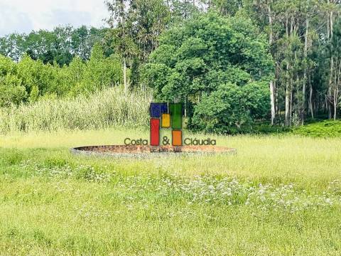 Terreno Rústico  Venda em Cantanhede e Pocariça,Cantanhede