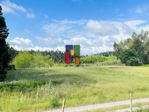 Terreno Rústico  Venda em Cantanhede e Pocariça,Cantanhede