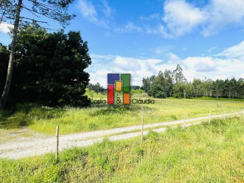 Terreno Rústico  Venda em Cantanhede e Pocariça,Cantanhede