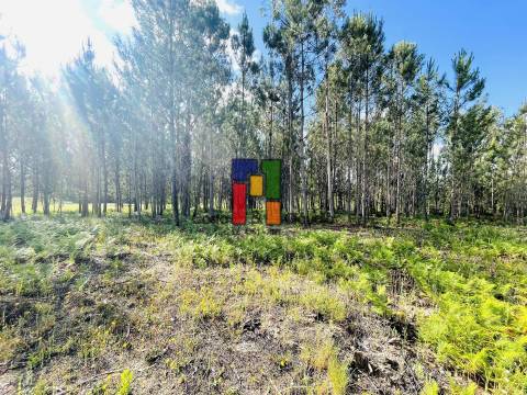 Terreno Rústico  Venda em Cantanhede e Pocariça,Cantanhede