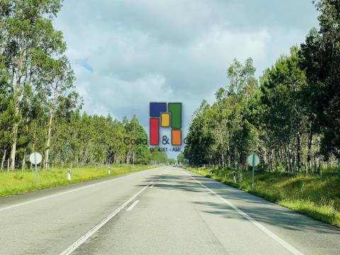Terreno Rústico  Venda em Cantanhede e Pocariça,Cantanhede