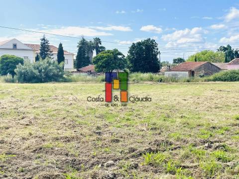 Terreno Para Construção  Venda em São Martinho do Bispo e Ribeira de Frades,Coimbra