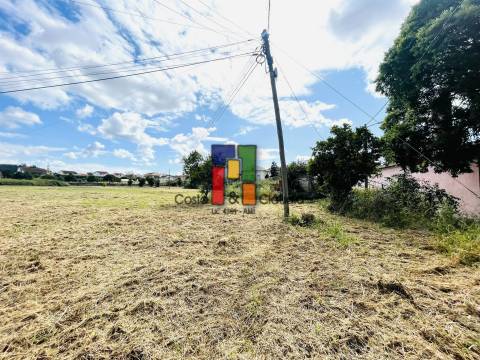 Terreno Para Construção  Venda em São Martinho do Bispo e Ribeira de Frades,Coimbra