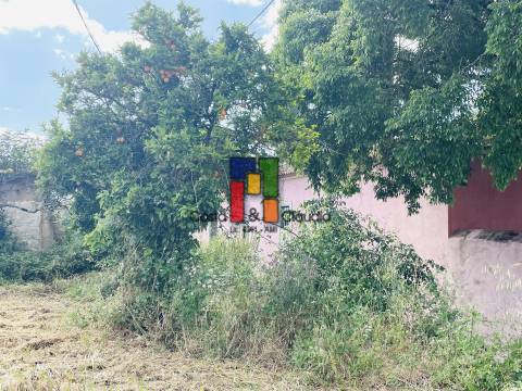 Terreno Para Construção  Venda em São Martinho do Bispo e Ribeira de Frades,Coimbra